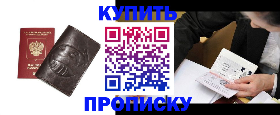 прописка для работы в Кингисеппе